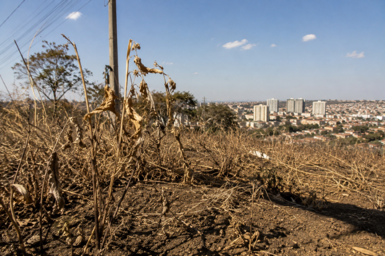 Defesa Civil alerta para aumento do risco de incêndios em São Paulo